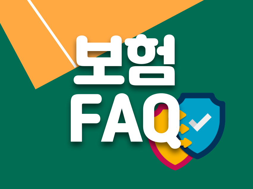 º¸Çèºñ±³ FAQ